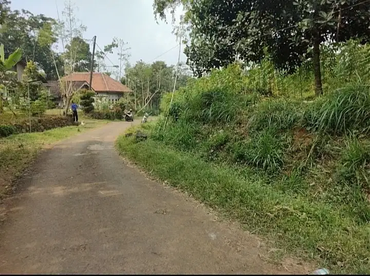 Tanah murah tepi jalan aspal cocok untuk tanam buah buahan