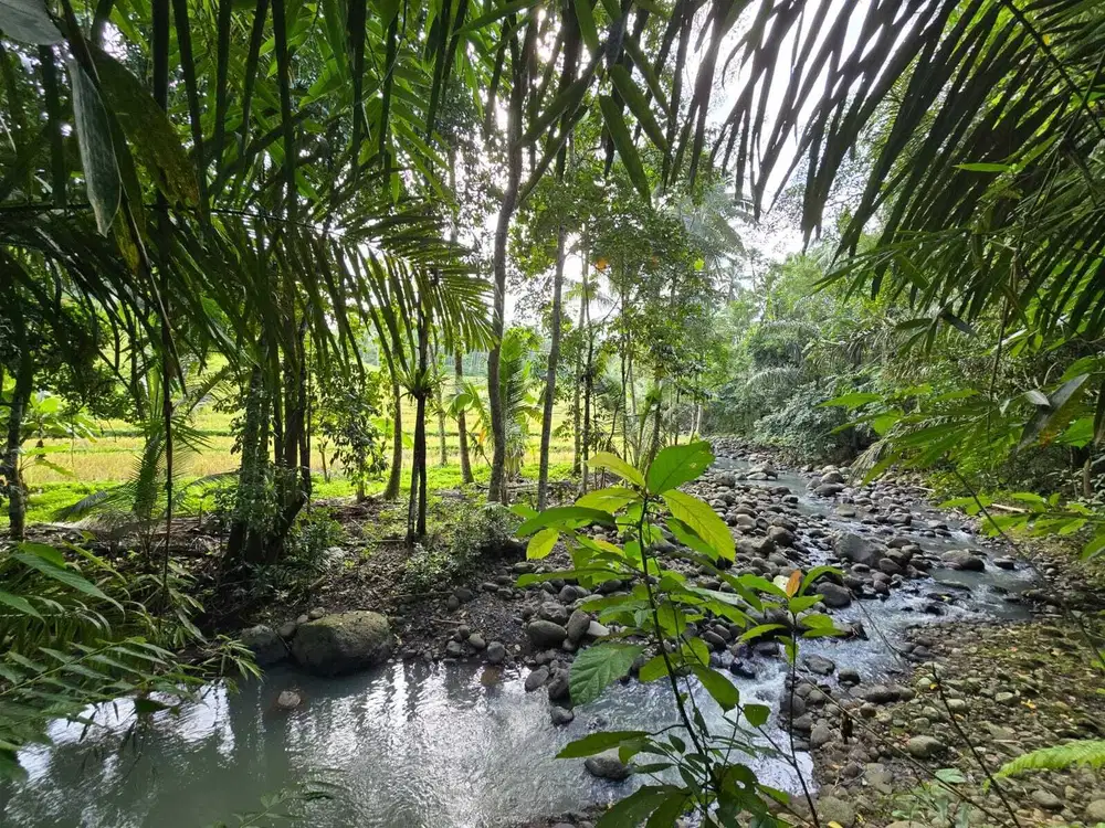 Dijual tanah dengan sungai dan view sawah indah di bali