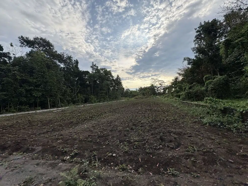 Candiwinangun Sleman; Kawasan Prospekif Investasi; SHM