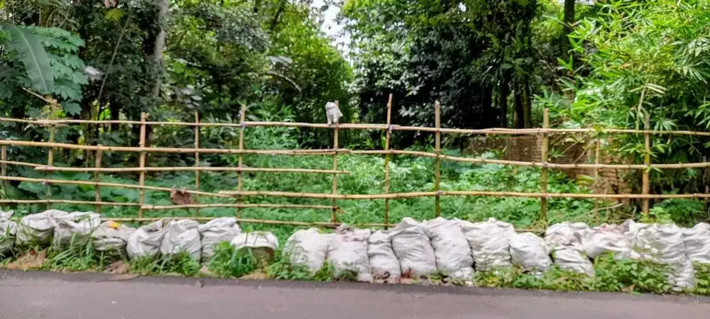 Tanah strategis di ciampea Bogor