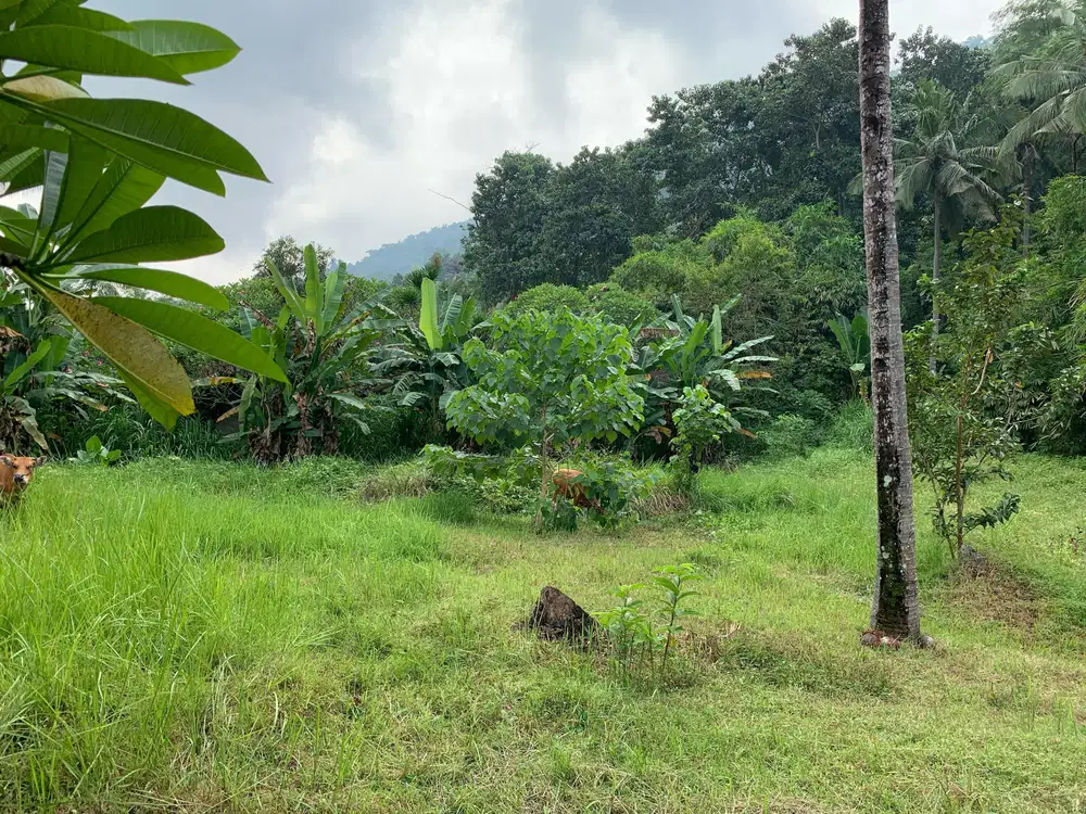 Tanah view laut di Kerandangan dekat Senggigi tourist area