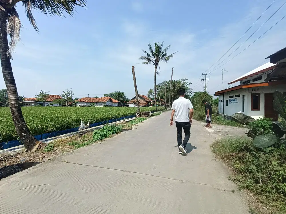 Dijual Sawah Produktif di Karawang Timur Harga Rp 100ribu/m
