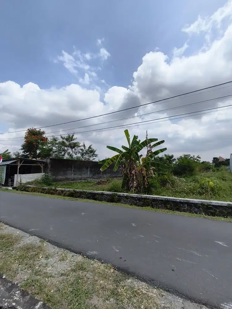 Jual BU Tanah Pekarangan Luas 529m2 Area Pasar Stan Maguwoharjo JOGJA