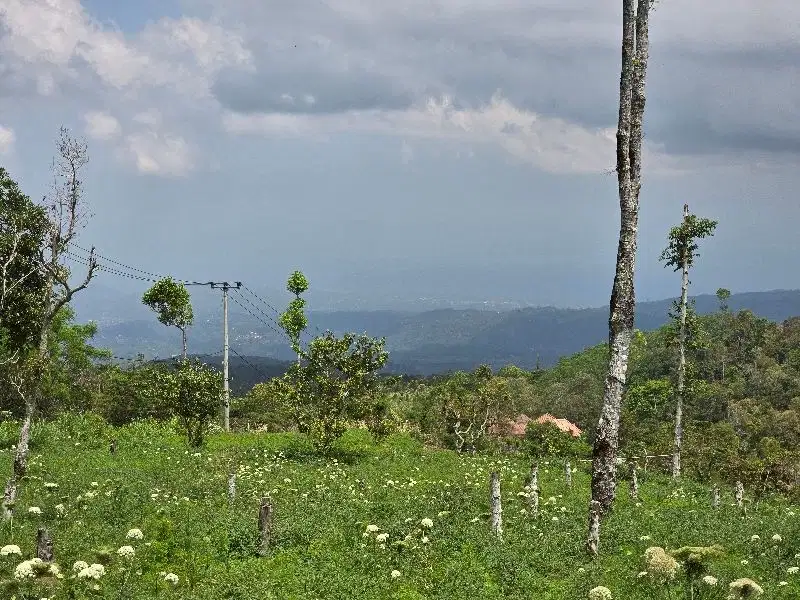 DIJUAL TANAH MURAH DATAR VIEW LEMBAH DAN LAUT DI BALI