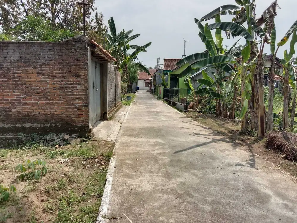 TANAH KAVLING 217M STRATEGIS DEKAT SMA TARUNA NUSANTARA MAGELANG