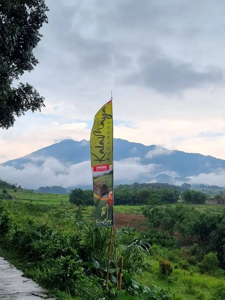 Jual Tanah di Puncak Bogor SHM Udara Sejuk 800 Mdpl