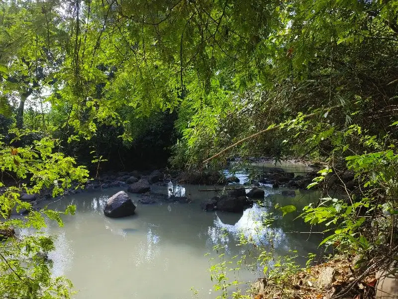 Dijual tanah murah los  sungai bebatuan dan view sawah ddi bali.