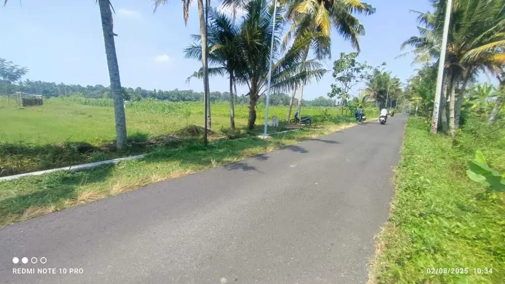 Sawah Tepi Jalan Aspal Dekat Jalan Raya Magelang Di Sleman Yogyakarta