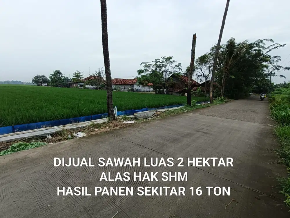 Sawah Dijual 2 Hektar Harga Rp 95rb/m (nego) di Karawang