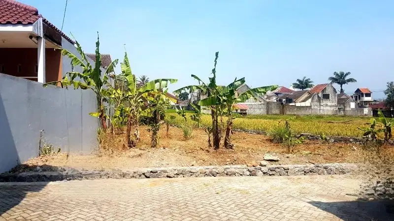 TANAH STRATEGIS 216M UTARA KAMPUS UNTIDAR