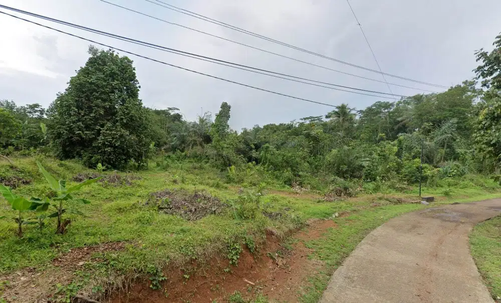 Jual Tanah Untuk Kandang Ayam di Cisaga Ciamis