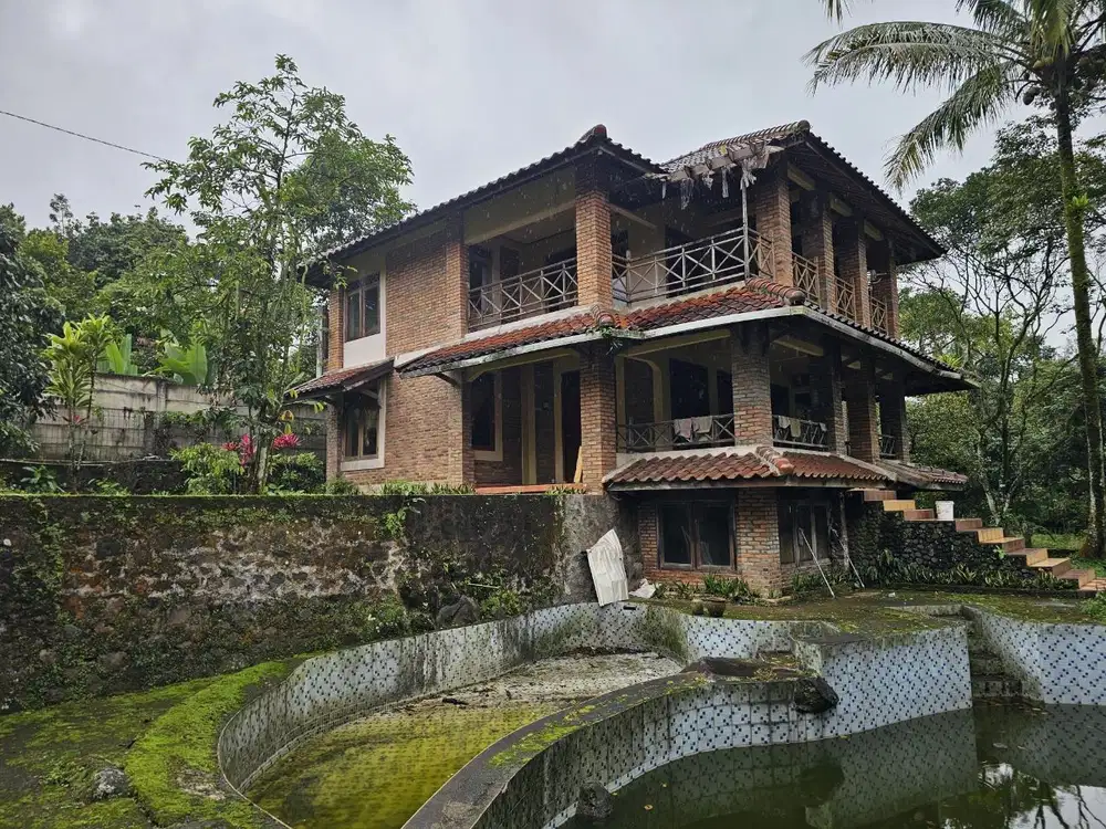 Jual Kebun Durian di Bogor, Sudah Berbuah 30 Menit Stasiun Bogor