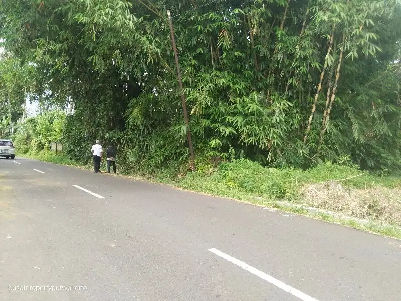 Tanah murah jalan Baturaden timur akses luas view gunung Slamet