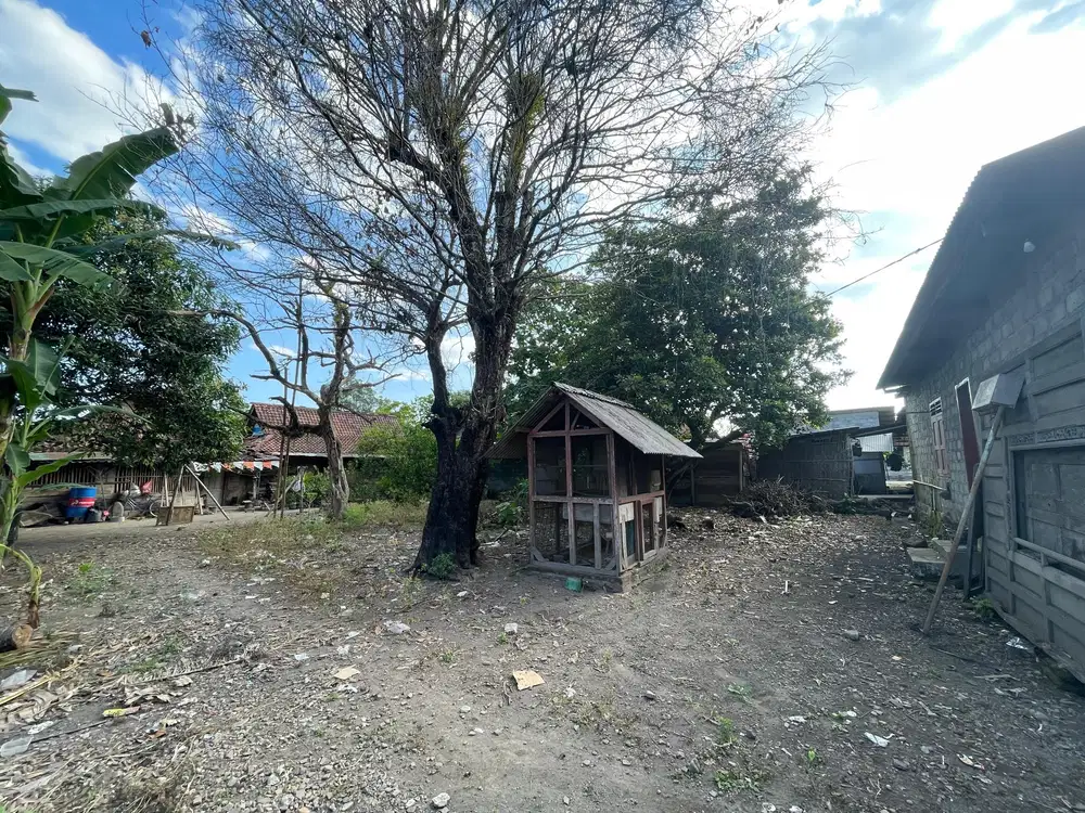 Jual BU, tanah Murah Dekat Jl LPMP Kalasan JOGJA Luas 224m2 SHM