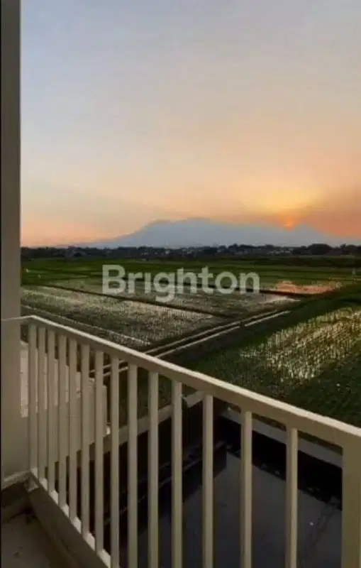 Dijual Rumah Cantik Harga Murah Dekat Suhat Dan Dekat UB