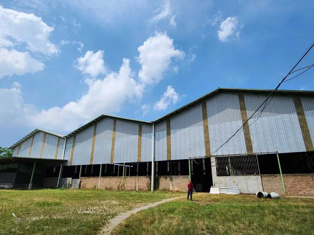 Dijual Gudang & Pabrik (Particle Board) Siap Pakai