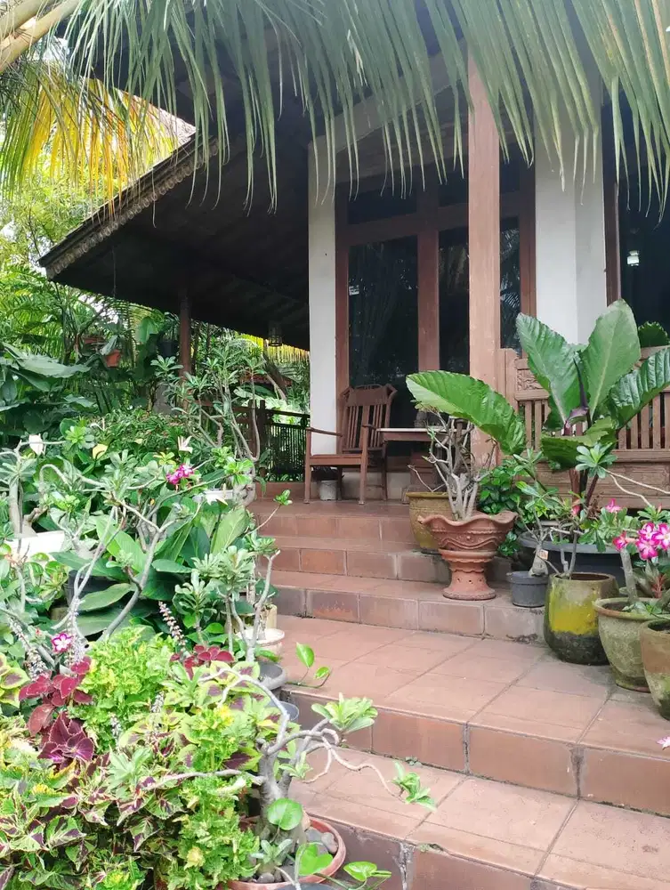 Di jual Rumah Joglo Hook di Jakarta Selatan