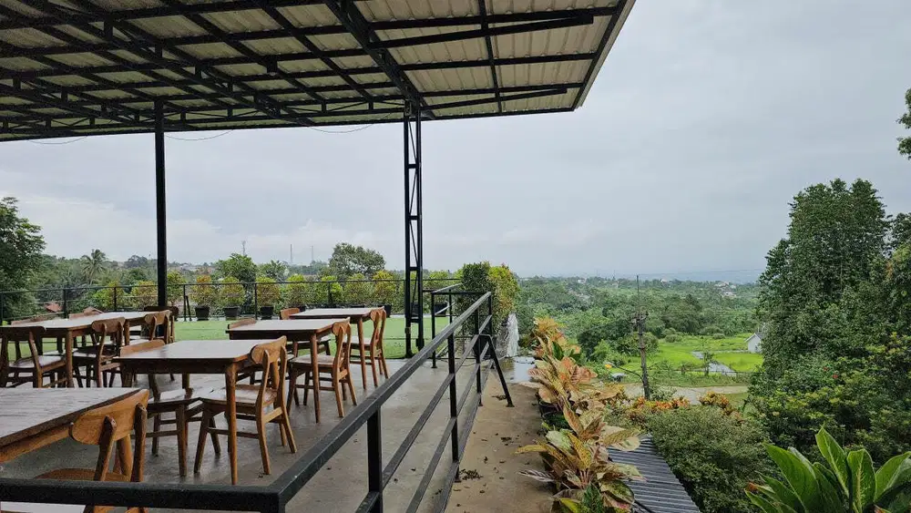 Jual Kebun Durian di Bogor Sudah Berbuah Dekat Pintu Tol Bogor