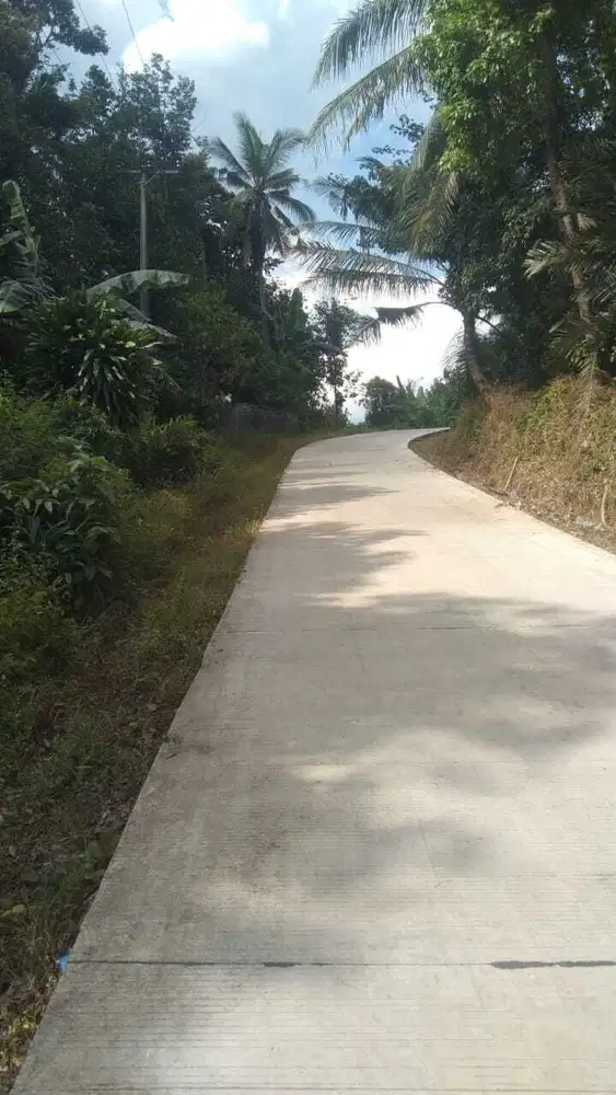 KEBUN DURIAN, SAWAH DLL DIJUAL MURAH PINGGIR JALAN