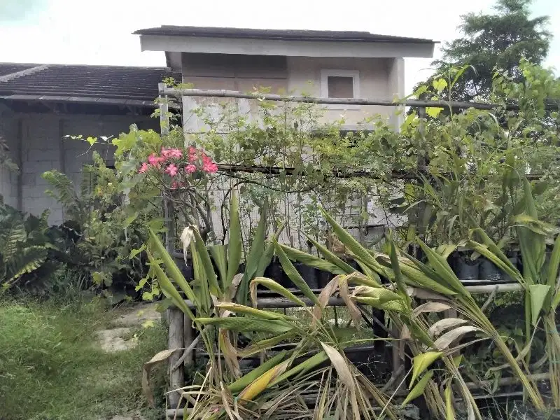 Rumah Murah posisi Hook Citra Indah city