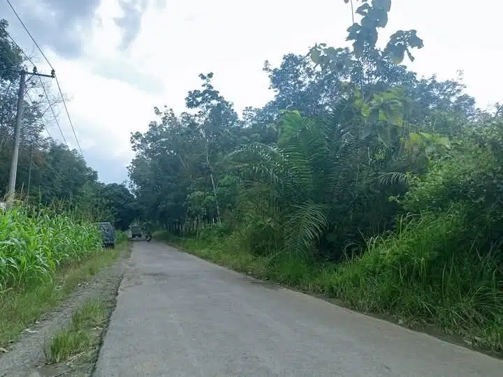 Tanah 3,4 hektar di rulung sari natar