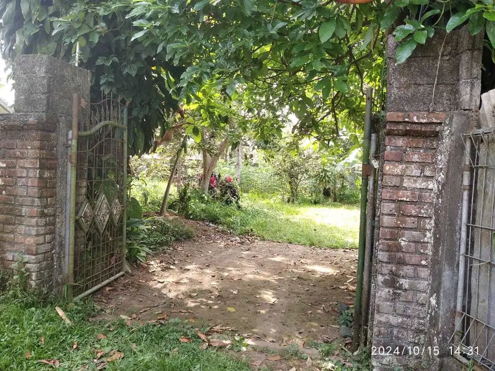Tanah dekat secret Garden Arah Bedugul di lepas cepat nego owner