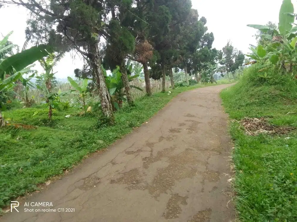 Dijual Lahan Kebun 1,000m2 SHM di Cijeruk, Bogor