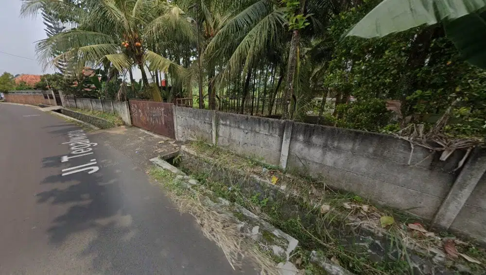 Jual Kebun Jati Platinum 1500 Pohon, 100 Durian Musang King Dekat IPB