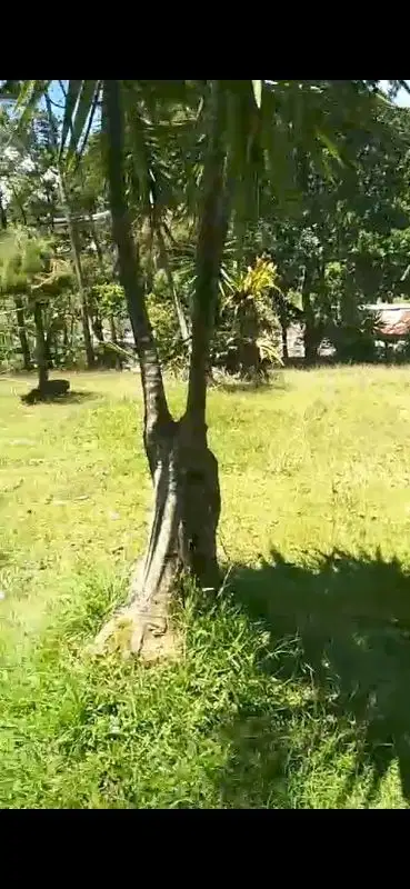 Dijual Tanah Darat siap bangun di Ciloto puncak Jabar