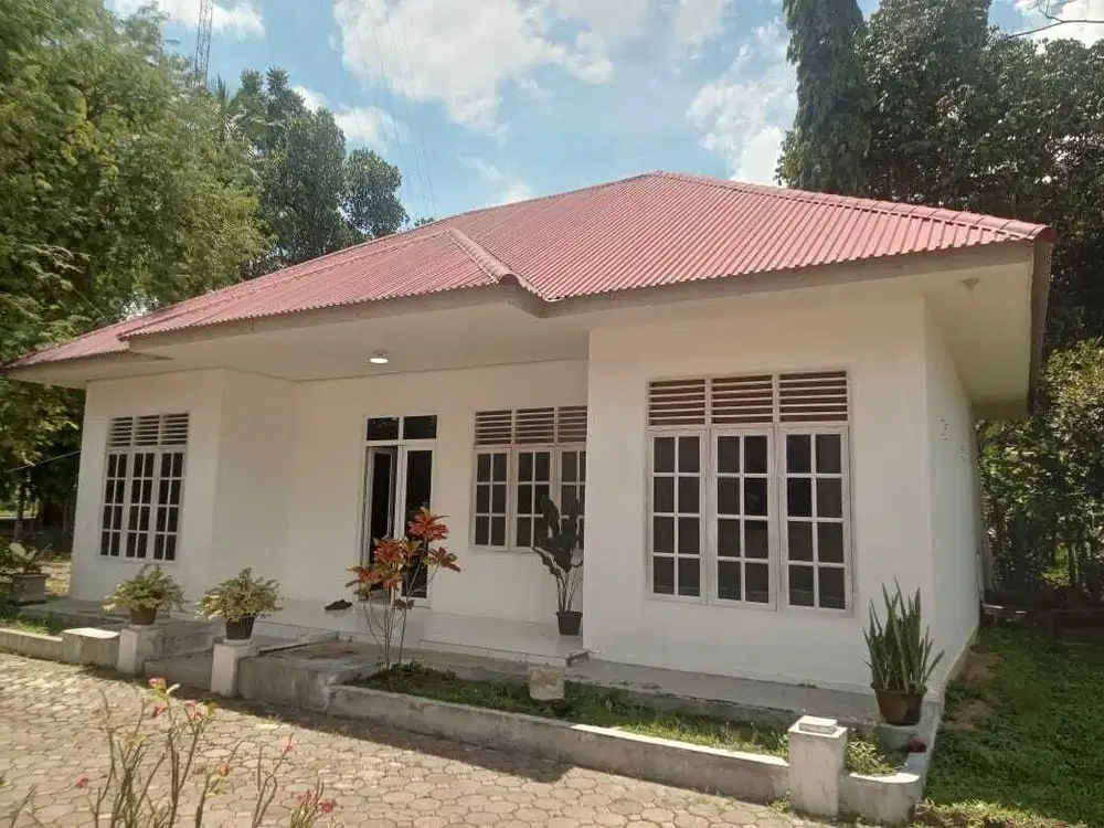 Rumah atau Kantor 1 Lantai Luas, Terjangkau, dan Nyaman