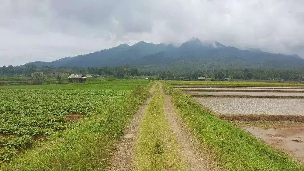 Tanah Dijual di Pandeglang Banten view penta pegunungan