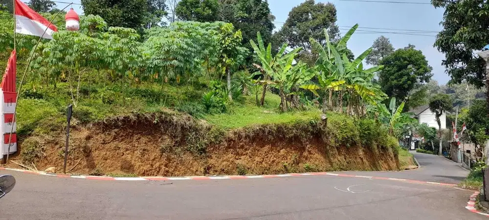 Lahan kebun murah pinggir jalan