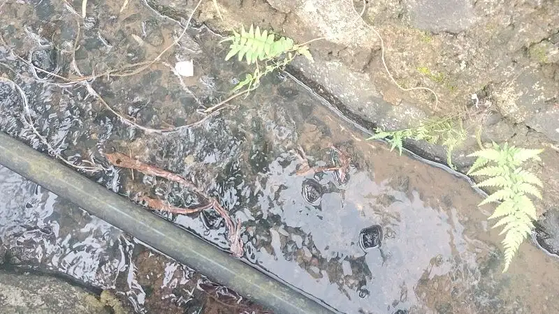 Dijual Tanah Murah View Pegunungan di Pandeglang untuk Villa dan Rumah