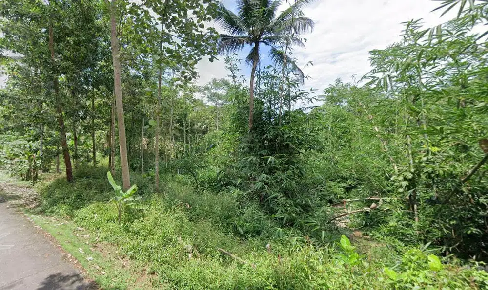 Jual tanah kebun nempel jalan Aspal di cisaga ciamis