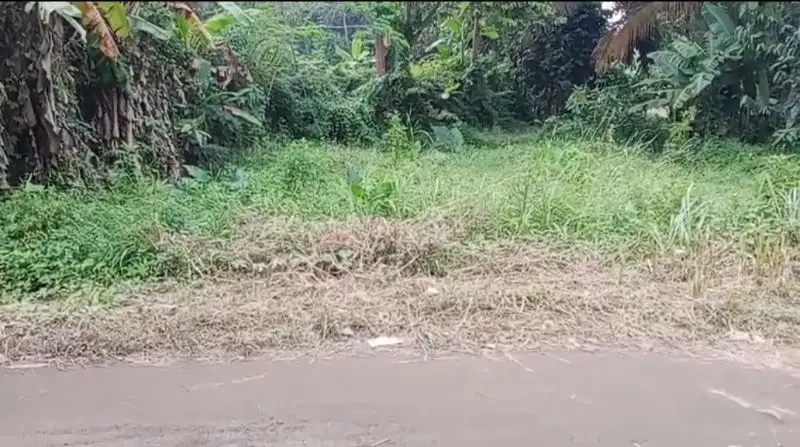 Dijual Tanah 207 M² di wargun Lebak Banten cocok untuk bikin villa