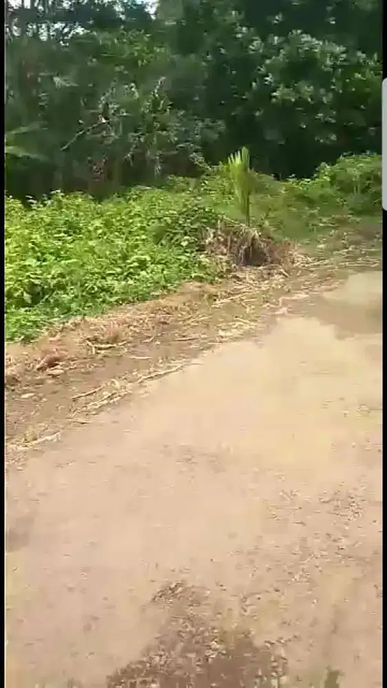 Tanah kebun Dijual di Lebak Cibadak Kota luas 2178 M2