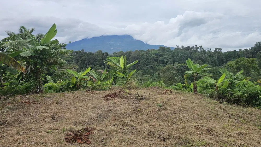 Jual Tanah di Pandeglang, 10 Menit Alun-Alun Pandeglang