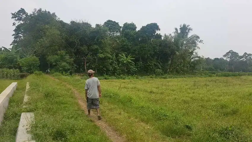 Tanah Dijual murah di kadugenep petir 1200 m2 dekat pabrik tas