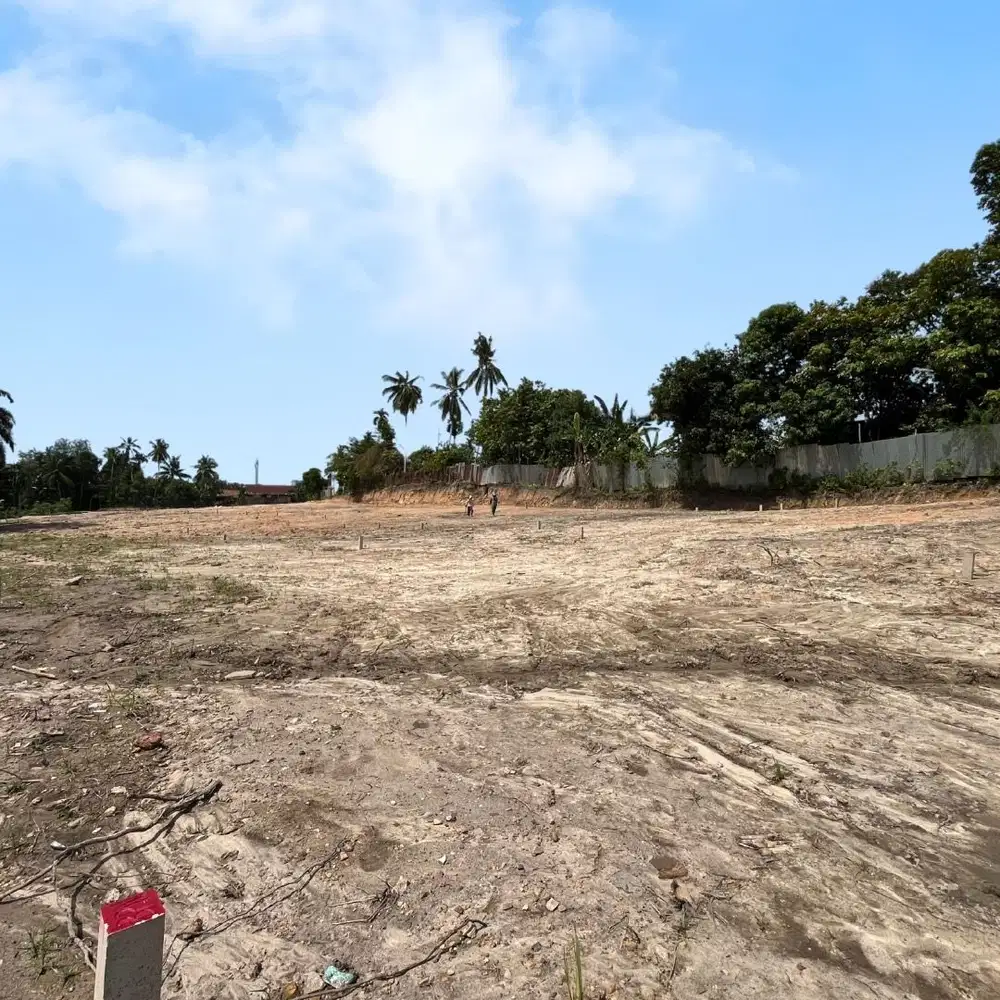 Dijual Tanah Kebun Handil