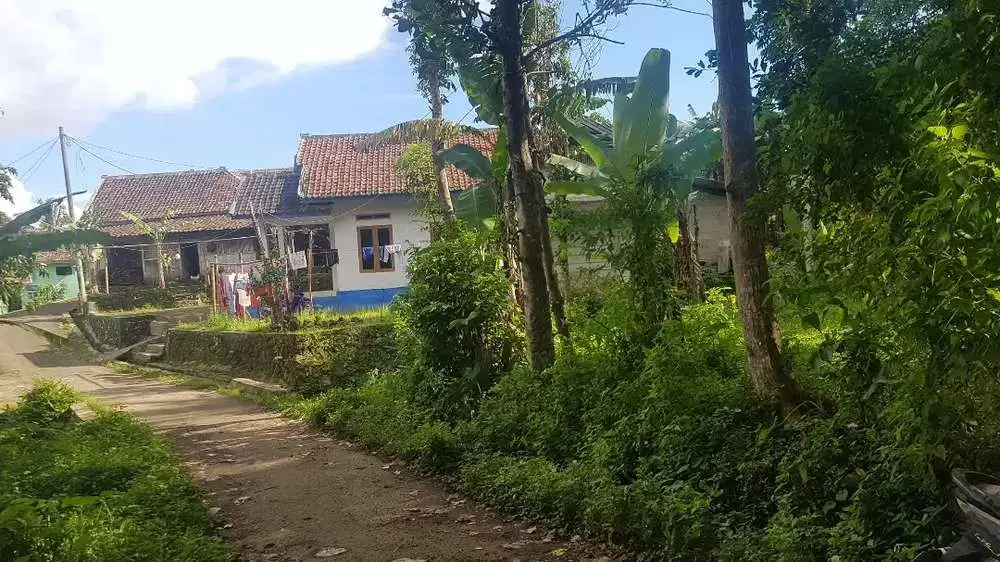 Tanah Dijual Di Pandeglang Banten luas 1250 m2 dua bidang