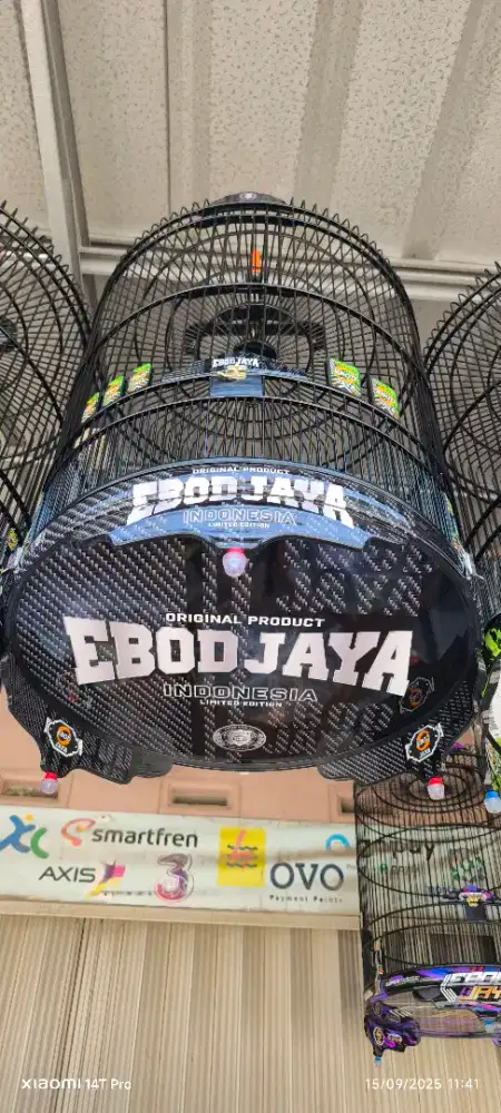 Sangkar murai kandang mb ebod pvc no2