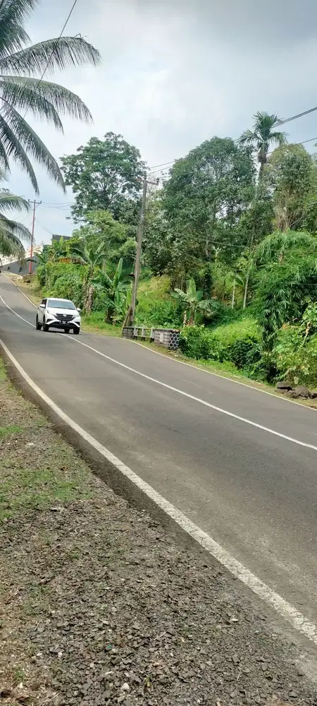 Tanah Dijual di Pandeglang Cocok banget untuk usaha