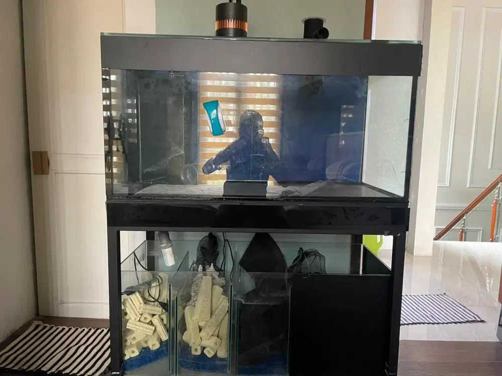 AQUARIUM 100X50X50 LENGKAP