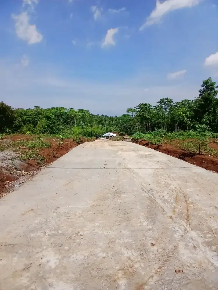 Tanah Murah DP 60 juta bisa tempo 24 bulan free biaya di gunung pati