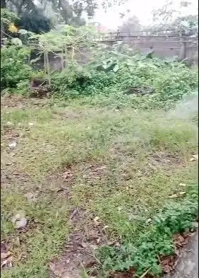 Tanah Samping Pintu Tol Citeureup