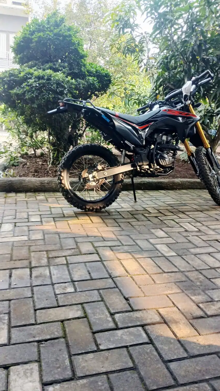 Barang istimewa jarang ada.