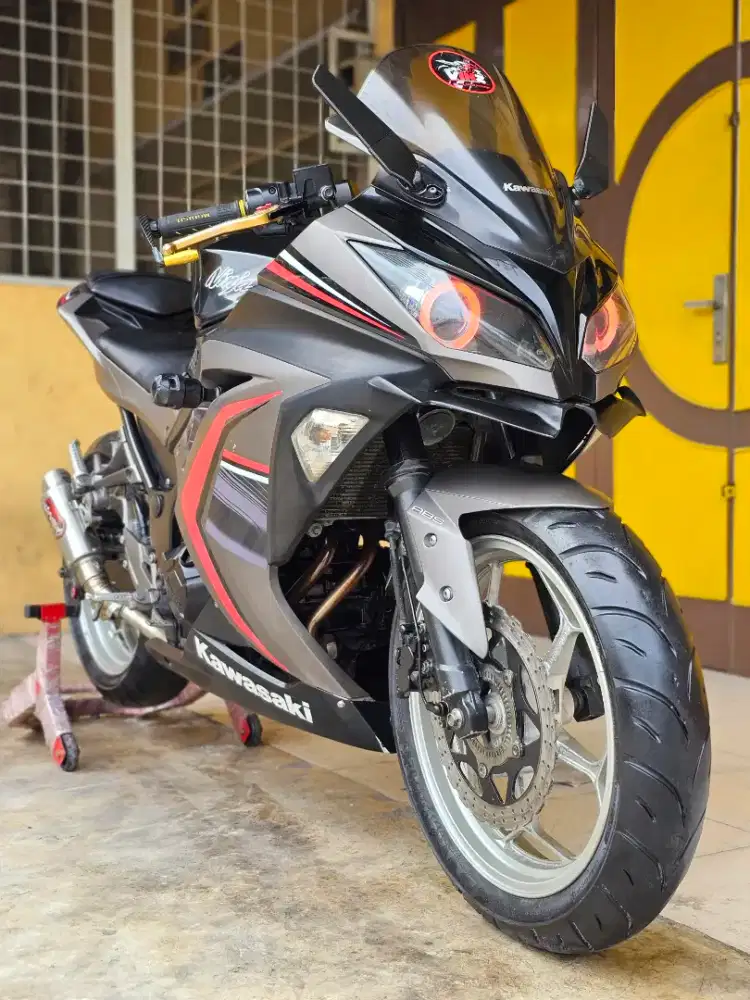 Kawasaki Ninja250 / Ninja250 FI ABS SE LTD 2016, Grey Premium Metalic.