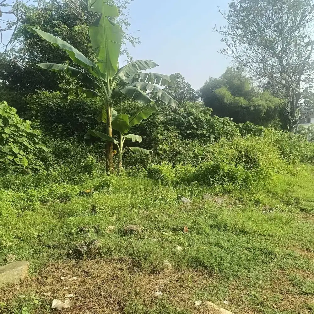 Di Jual murah sebidang tanah 175 M