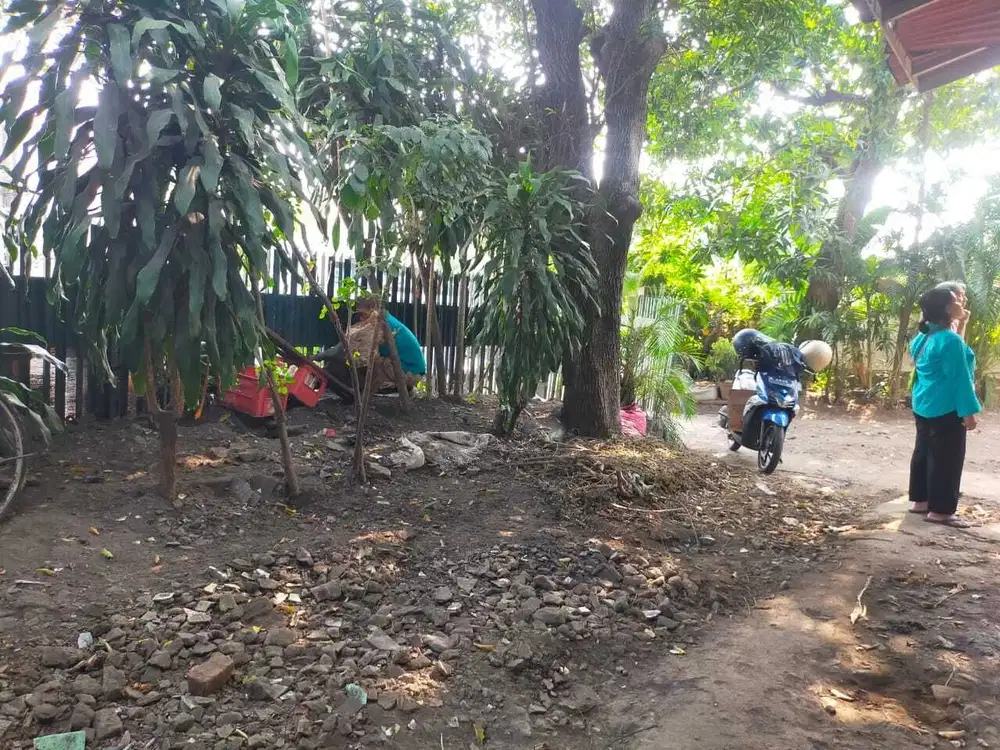 Tanah Rumah Hitung Tanah di Petojo Tanah Abang Jakarta Pusat