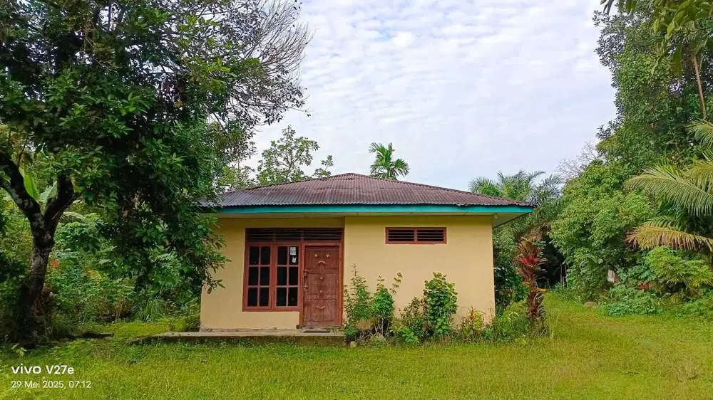 Cocok untuk tempat usaha